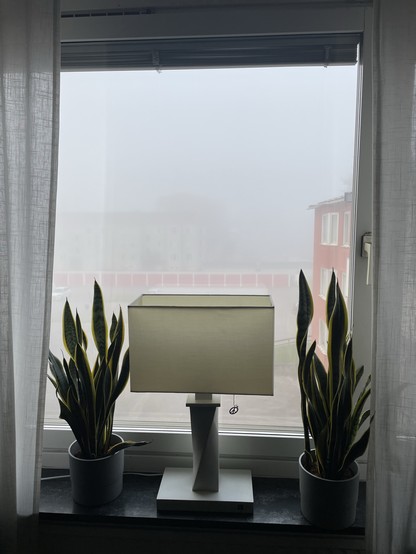 A window with a view obscured by fog, featuring a modern lamp and two snake plants on the windowsill. Sheer curtains frame the scene.