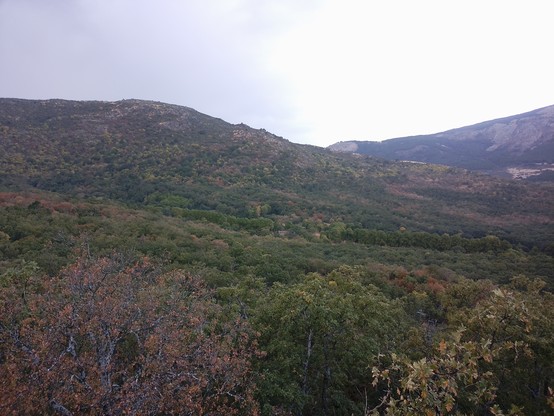 Se ven un par de montes con un amplio bosque. Los árboles, principalmente robles y otras especies autóctonas, tienen ya los colores del otoño: marrones, verdes... en algún punto se ve el gris propio de las rocas graníticas de la zona.