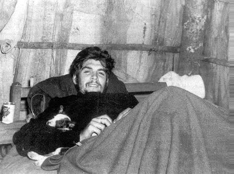 che guevera in bed with a dog looking hot