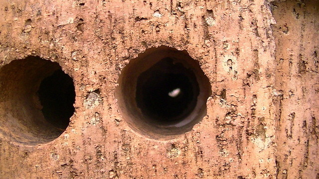 a close up of a holey brick, stacked on a pallet of bricks in such a way that all the holes of the bricks behind pretty much line up. a bit of light is visible at the end of the brick holey tunnel.