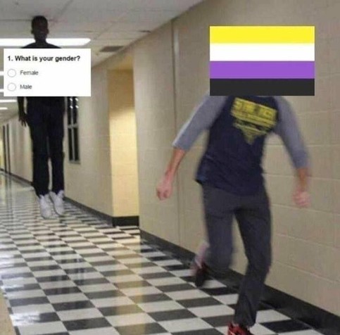 A person runs down a checkered hallway with a non-binary flag over their head, humorously avoiding a gender question showing options for female and male.