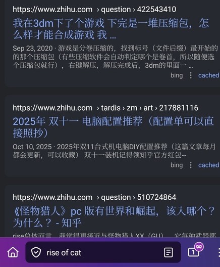 Firefox android private tab with searxng opened. Searched rise of cat and getting random Chinese results from bing