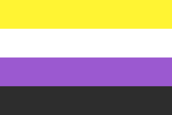 Non-binary pride flag with four horizontal stripes in yellow, white, purple, and black representing different aspects of non-binary identities.