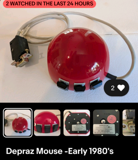 A Swiss ladybug mouse