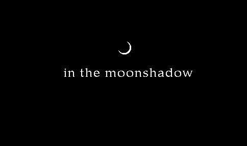 in the moonshadow