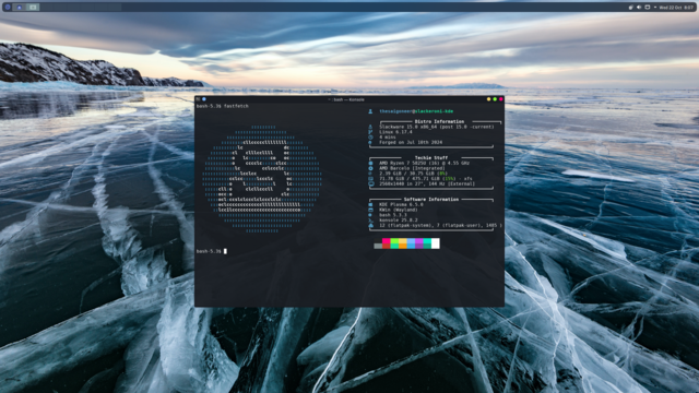 Screenshot of fetch showing Plasma 6.5 on Slackware Current