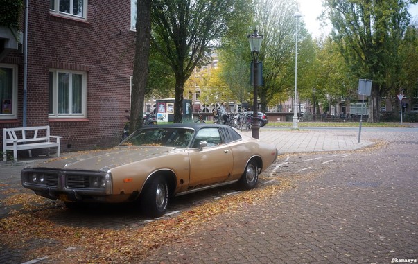 Amsterdam - Gerard Terborgstraat - Dodge Charger SE