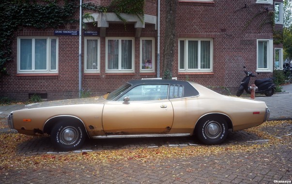 Amsterdam - Gerard Terborgstraat - Dodge Charger SE