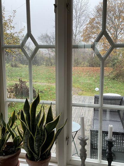 A view through a decorative window featuring houseplants in pots at the foreground. Outside, there is a foggy landscape with autumn trees and fallen leaves, leading to a wooden deck with outdoor furniture and a small table.