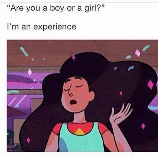 Cartoon character with long flowing hair and a confident expression, tossing their hand gracefully while surrounded by sparkles. Above them, text reads: “Are you a boy or a girl?” and below, “I’m an experience.