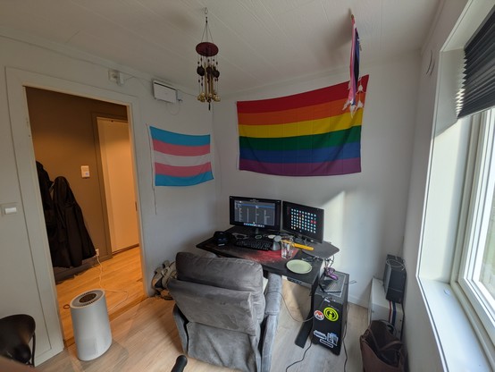 Small home office with a computer desk, two monitors, and a gray chair. A transgender flag hangs near the door, a rainbow pride flag above the desk, and a wind chime hangs from the ceiling. A white air purifier sits on the floor.
