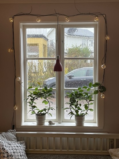 A cozy window scene with two potted plants on a windowsill, illuminated by string lights. Rain covers the glass, and a glimpse of a car and garden is visible outside.