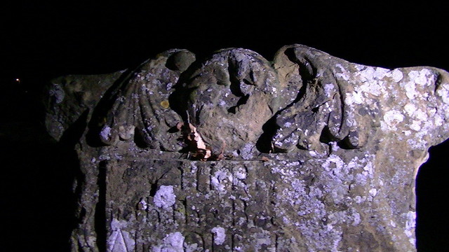top of a weathered carving on a gravestone at night, prolly once was a face of an angel with wings. you can just make out "Here lieth the bod..."  lots of white lichen