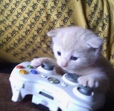 A cat touching a xbox 360 controller it simulates playing a game.