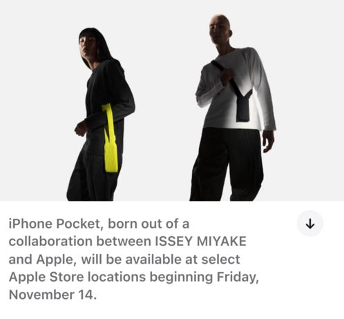 Apple's stupid new $230 iPhone sock-on-a-scarf sling

"iPhone Pocket, born out of a collaboration between ISSEY MIYAKE and Apple, will be available at select Apple Store locations beginning Friday, November 14."