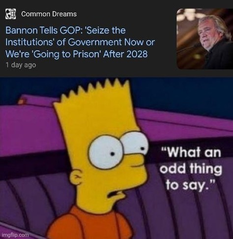 Cartoon character Bart Simpson looks surprised, with the text "What an odd thing to say" below a news headline about seizing government institutions.