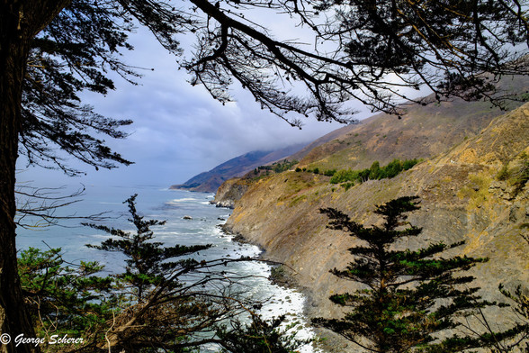 View of the California coast, looking north through tree branches from Ragged point.  There is surf breaking on the shore.  The sky is cloudy. 