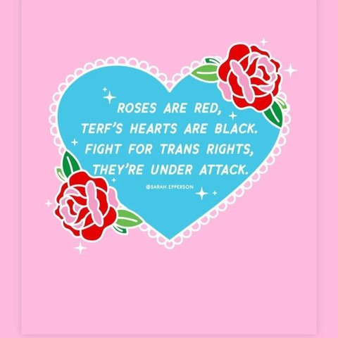 A graphic with a blue heart outlined in white lace, decorated with two red roses on a pink background. Inside the heart, white text says Roses are red, TERFs hearts are black. Fight for trans rights, they are under attack. The artwork is credited to Sarah Epperson.
