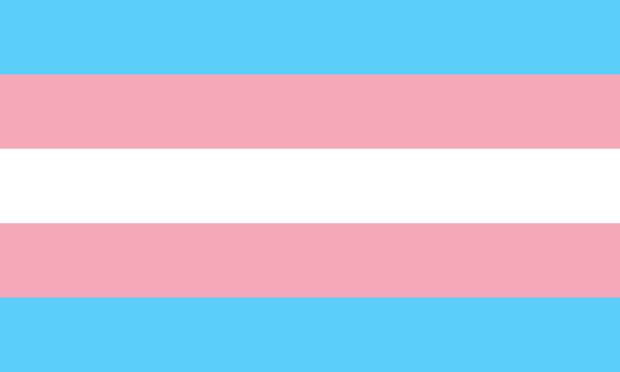 The transgender pride flag with five horizontal stripes: light blue, pink, white, pink, and light blue.