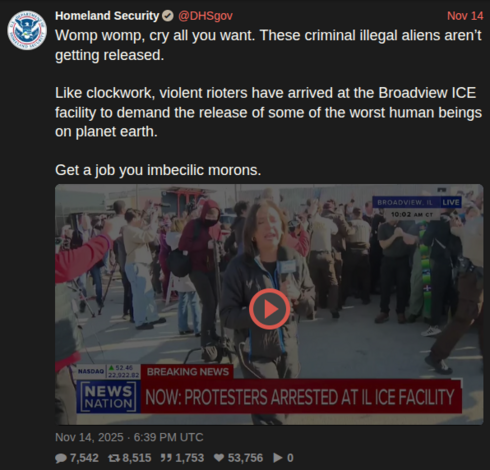 A screenshot of an X (formerly Twitter) post from an account labeled “Homeland Security” with the handle @DHsgov, dated Nov 14. The post contains inflammatory language criticizing protesters at an ICE facility. Below the text is an embedded news video still from NewsNation showing a crowd of protesters outdoors at what the banner identifies as the Broadview, Illinois ICE facility. The scene shows many people standing closely together, some clapping or raising their hands, and a woman in the for…