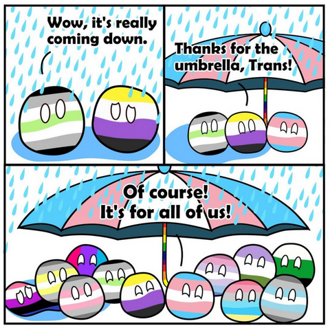 A three panel comic shows round characters colored like various LGBTQIA+ pride flags standing in heavy rain; two characters colored with agender and genderqueer flags note the rain, then join characters under a large umbrella held by a trans flag character who says the umbrella is for everyone as many more pride flag characters gather together under it.