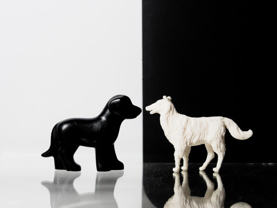 Zwei Spielzeugfiguren, Hunde. Der linke Hund ist schwarz und steht vor weißem Hintergrund, der rechte Hund ist weiß vor schwarzem Hintergrund. Die Nasenspitzen der Hunde treffen sich in der Bildmitte.