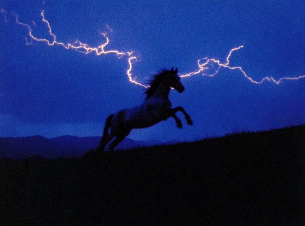 horse under lightning at night