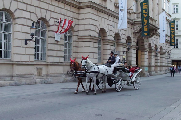 Eine Pferdekutsche in einer Gasse in der Wiener Innenstadt.
