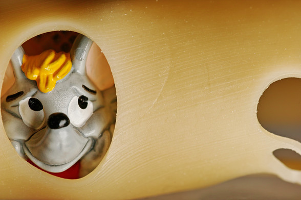 Eine gerollte Käsescheibe mit großen Löchern, rechts lugt eine Spielzeugmaus aus dem Loch.