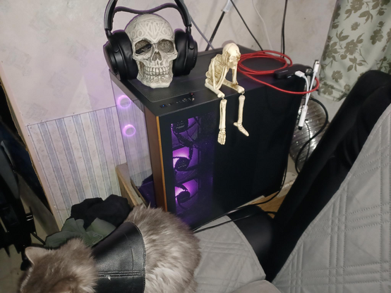 A black PC case sitting next to a black couch with a gray cover. A gray cat with a black Goth as fuck cone sits on the couch arm. A skull wearing a headset, and a 6 inch skeleton figure with its legs dangling down the side are on top of the case. You can see the purple intake fans in the side panel. the front panel is glass, with a light color wood accent on the right side.