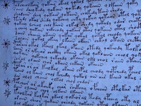 Voynich gibberish that looks more like somebody trying to write "ottae" or something nicely over and over and over than anything resembling coherent human language 