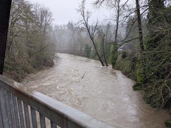 A picture of the same river (keep philosophy out of this) from the same bridge. It's raining. The trees that were at the edge of the water in the previous picture now have water a few feet up the shore behind them. There's a large log floating by