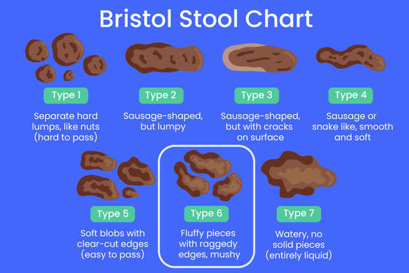 Bristol Stool Chart

Type 1

Separate hard lumps, like nuts (hard to pass)

Type 2

Sausage-shaped, but lumpy

Type 3

Sausage-shaped, but with cracks on surface

Type 4

Sausage or snake like, smooth and soft

Type 5

Soft blobs with clear-cut edges (easy to pass)

Type 6

Fluffy pieces with raggedy edges, mushy

Type 7

Watery, no solid pieces (entirely liquid)