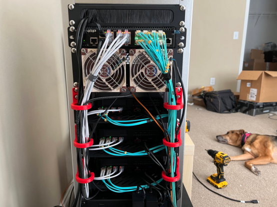 The back of the minirack showing another network switch with all of the cables connected.