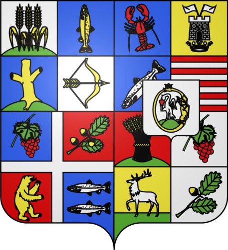 popping blue red yellow green white squares with grain fishes lobsters bows and arrows trees castles bears deer grapes ouroboros from https://en.wikipedia.org/wiki/File:BlasonHU-szabolcs-szatmar-bereg.svg