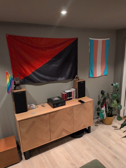 A minimalist living room with a wooden sideboard, bookshelf speakers, and a stereo. Two flags hang on a gray wall above the cabinet, with books, small decorations, and potted plants arranged around the room.