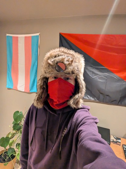 A person indoors wearing a fur-lined winter hat, a red face covering, and a dark hoodie, taking a selfie. Behind them, two flags hang on the wall, and a houseplant sits nearby.