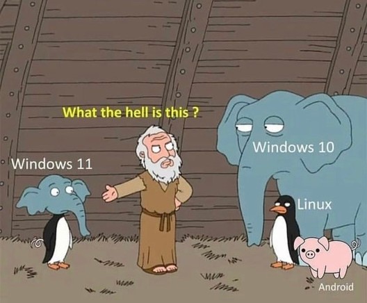 Cartoon meme of a Noah’s Ark–style scene. A bearded man in robes gestures and says “What the hell is this?” toward a tiny blue elephant labeled “Windows 11.” Nearby are a large blue elephant labeled “Windows 10,” a penguin labeled “Linux,” and a pig labeled “Android,” joking about different operating systems as mismatched animals.