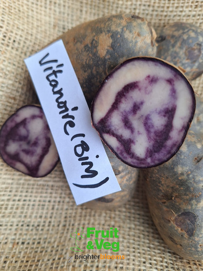 Dark purple skinned potatoes with purple inclusions in white flesh, if any of that means anything at all to you