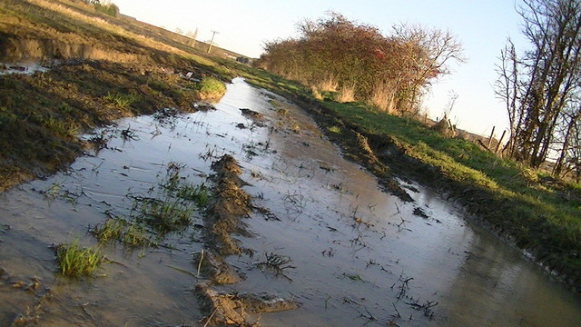 A flooded bridleway