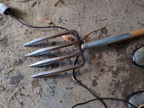 Eine Grabgabel mit vier Zinken an einem Holzgriff. Die Zinken glänzen vom Öl