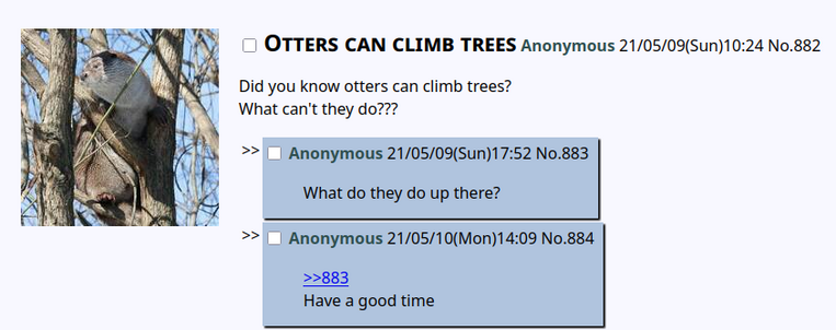 Otters can climb trees Anonymous 21/05/09(Sun)10:24 No.882  

    Did you know otters can climb trees?
    What can't they do???

>>
	Anonymous 21/05/09(Sun)17:52 No.883  

    What do they do up there?

>>
	Anonymous 21/05/10(Mon)14:09 No.884  

    >>883
    Have a good time
