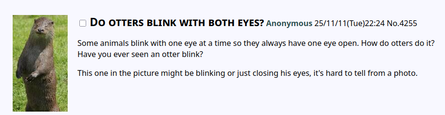 Do otters blink with both eyes? Anonymous 25/11/11(Tue)22:24 No.4255   [Reply]

    Some animals blink with one eye at a time so they always have one eye open. How do otters do it? Have you ever seen an otter blink?

    This one in the picture might be blinking or just closing his eyes, it's hard to tell from a photo.
