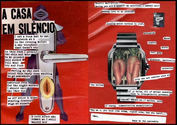 A CASA EM SILÊNCIO

I eat a tuna had to eat 
sandwich at 8
in the evening before 
a shy telephone 
that doesn't cry

in this room I present
the skin and bone,
to be plucked
cold sucked
full bone
dry and fuck

waving my shy cock
round this empty room wanting
 to go somewhere

toodrunk even
for the night worker
I should call
the Uber for

us off Atler & Adam
wearing discount
wigs at sunset

& even after she robbed me I still
wanted her


Tantric Meditation
Having sex with myself: my spiritual / a…