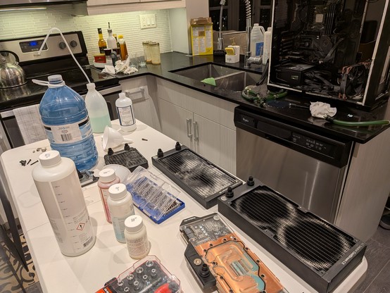 Everything disassembled and awaiting cleaning. I used diluted cleaning vinegar.