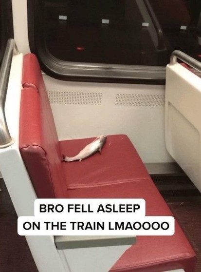 bro fell asleep on the train lmao