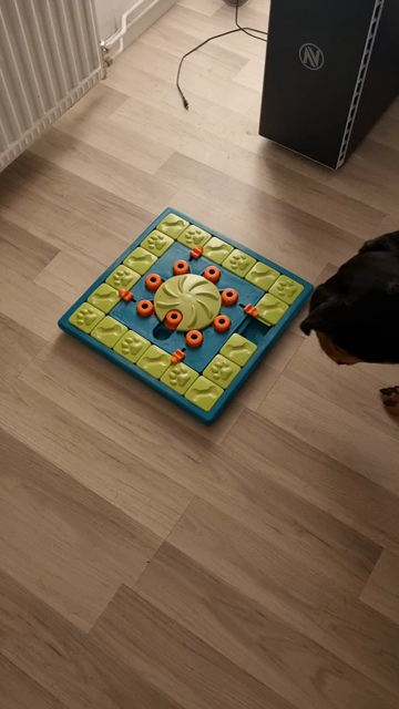Black and tan rottweiler-mix solving a square logic-puzzle for dogs with a spinning wheel in the middle that has a notch and 8 sliding buttons arrayed like a star around the wheel that can lock the wheel in place. Around the rim of the puzzle there are 19 sliding squares with one free space where a square can slide. These can also be locked in place with a tab on each side of the square