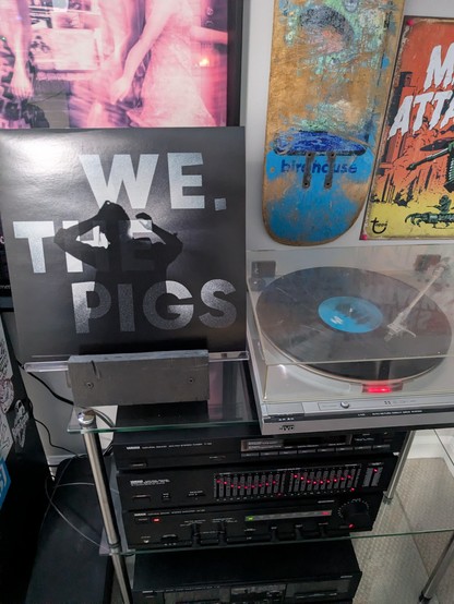 WE.THE PIGS - WE.THE PIGS on black vinyl