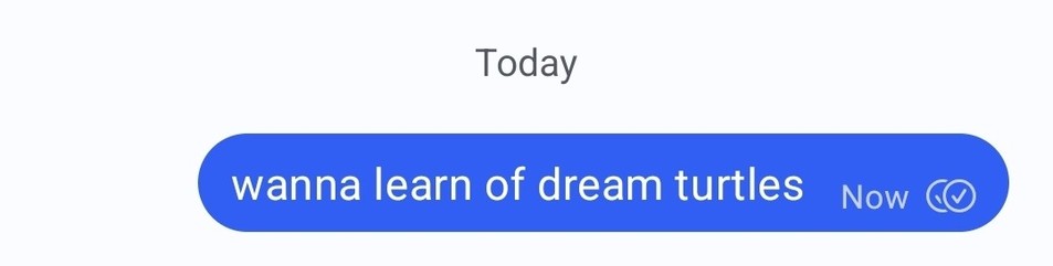 messaging "wanna learn of dream turtles" in signal