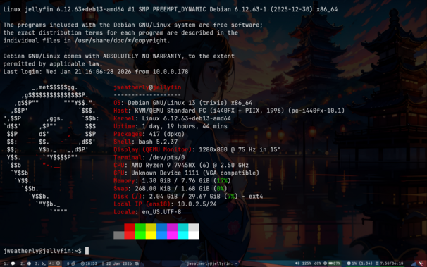 A screenshot of the Jellyfin's `fastfetch` information as part of the Proxmox cluster.
